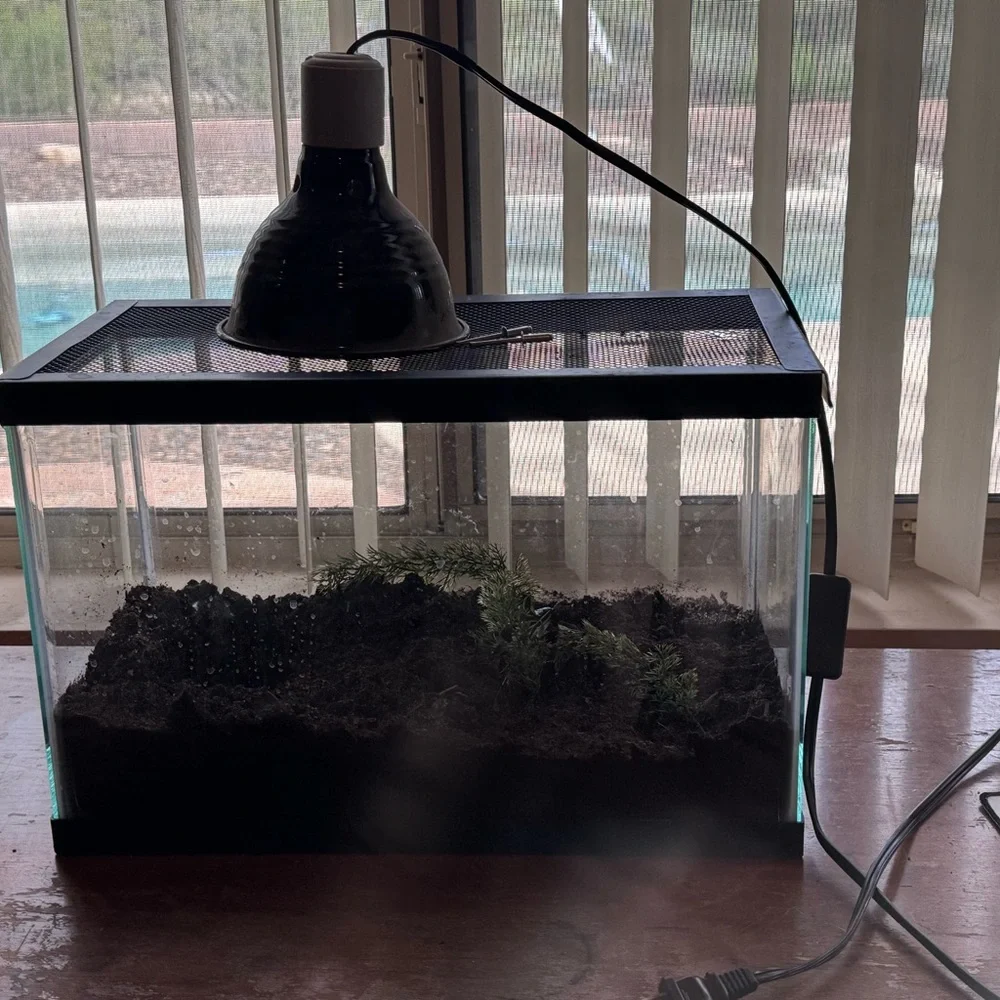 2.5 gallon tank with light included